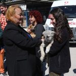 Dünya Veteriner Hekimler Günü dolayısıyla Bodrum Belediyesi Veteriner İşleri Müdürlüğü tarafından kahvaltı organizasyonu gerçekleştirildi