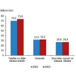 Bitkisel üretimin bir önceki yıla göre artacağı tahmin edildi