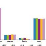 TÜİK: Enerji Hesapları, 2021