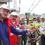 Türk üzümü dünya sofralarına kalıntısız ulaşıyor