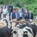 Bergama’da yayla yolculuğu başladı