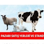 Malkara Belediyesi Kurban Pazar Satış Yerleri ve Stand Tahsisi Duyurusu