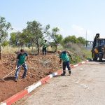 Mersin Yenişehir Belediyesi park ve yeşil alanlarda çalışmalarını sürdürüyor