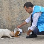 Yenişehir Belediyesi sokak hayvanlarını yalnız bırakmıyor