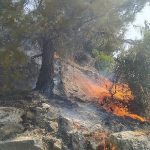 Aydın Büyükşehir Belediyesi İtfaiyesi, Söke’de ormanlık alanda çıkan yangını hızlı müdahaleyle büyümeden söndürdü