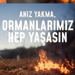 Bir kıvılcım geleceğimizi yakmasın, ormanlarımız hep yaşasın!