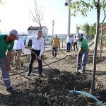 İnegöl’de 600. Fidan 15 Temmuz Şehitleri Anısına Dikildi