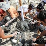 Plastiksiz Kıyılar, Plastiksiz Sular Projesi Konyaaltı Sahili’nde başladı