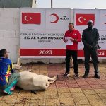 Türk Kızılay Kurban Kesimlerini Başlattı