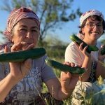 Buğday Derneği; Soframıza gelen zehirlerden 6’sı daha yasaklandı