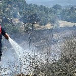 Koçarlı’daki yangın kontrol altına alındı