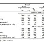 TÜİK: İhracat birim değer endeksi %1,6 azaldı