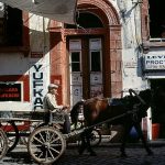 ARA GÜLER ARŞİVİNDEN AYVALIK FOTOĞRAFLARI GÜN YÜZÜNE ÇIKIYOR