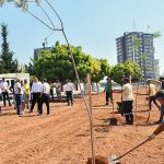 Başkan Özyiğit, “Bir Metre Asfalt Yapıyorsak Onun Yerine de Beş Ağaç Dikmeliyiz”