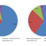 Gayrisafi Milli Hasıla (GSMH) 2022 yılında 14 trilyon 864 milyar 295 milyon 809 bin TL oldu