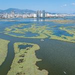 İzmir ve Lubliyana kuraklığa karşı güçlerini birleştirecek