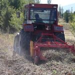 Selçuklu Belediyesi tarımsal üretime katkı sağlamaya devam ediyor