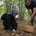 Kocaeli’nde Ormanya’da mantar avı düzenlendi