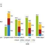 Küçük ve Orta Büyüklükteki Girişim İstatistikleri, 2022