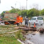 Antalya Büyükşehir’de 1200 personel fırtınada hazır bekledi