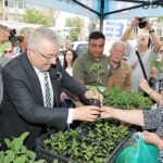 Edremit Belediyesi ata tohumunu destekliyor