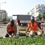 Antalya yazlık çiçeklerle rengarenk olacak