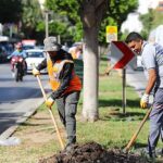 Antalya’da 2 milyon yazlık çiçek toprakla buluşuyor