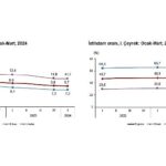 Tüik: Mevsim etkisinden arındırılmış işsizlik oranı %8,7 seviyesinde gerçekleşti