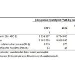 Tüik: Turizm geliri ve gideri için revizyon tamamlandı