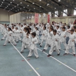 osmangazide-karate-egitim-semineri.jpg